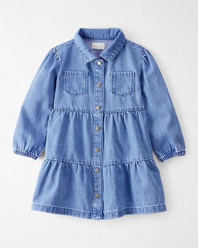 Toddler Girl Organic Cotton Chambray Dress
