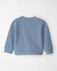 Toddler Boy  Organic Cotton Big Bro Pullover