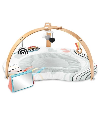 Discoverosity Play Gym