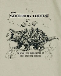 Boys Turtle Short-Sleeve Graphic Tee - Grey