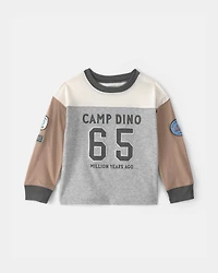 Toddler Boy 'Camp Dino' Long-Sleeve T-Shirt - Brown/Grey