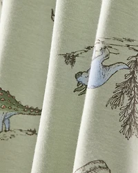 Baby Boy 2-Pack Dinosaur Print PurelySoft Pull-On Pants - Green