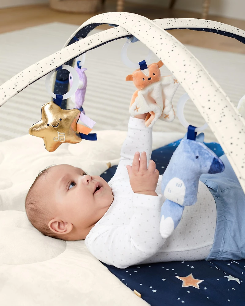 Celestial Dreams Activity Gym