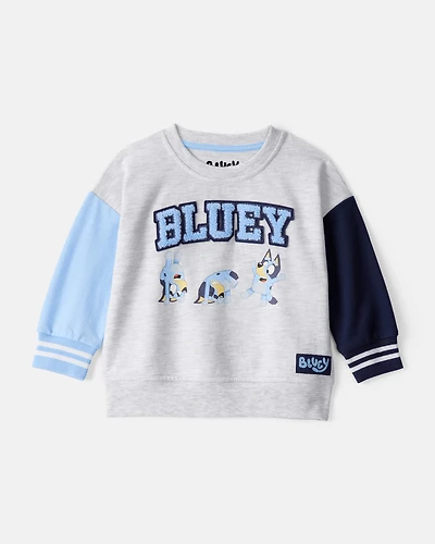 Baby Neutral Bluey Colourblock French Terry Sweatshirt - Grey