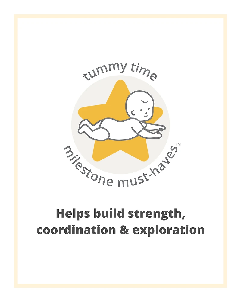 Farmstand See & Bee Steering Wheel & Tummy Time Baby Toy