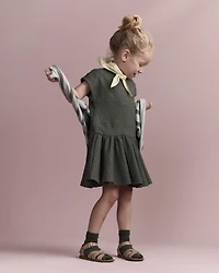 Toddler Girl Drop-Waist Dress - Olive