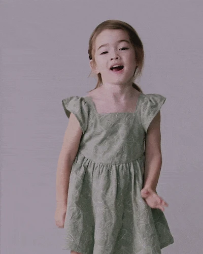 Toddler Girl Embroidered Flutter Sleeve Dress Floral Print - Green