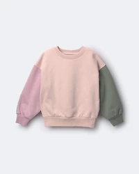 Toddler Girl Colourblock Pullover Sweatshirt - Blush/Mauve/Olive