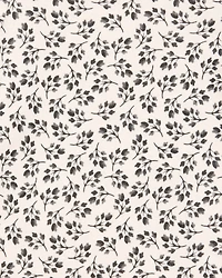 Baby Girl 5-Pack Striped Butterfly Short-Sleeve Cotton Bodysuits