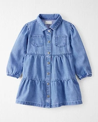 Toddler Girl Organic Cotton Chambray Dress