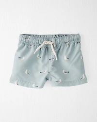 Baby Boy Recycled Seagull-Print Swim Trunks