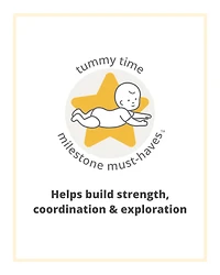 Farmstand See & Bee Steering Wheel & Tummy Time Baby Toy