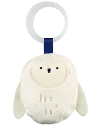 Celestial Dreams Activity Gym