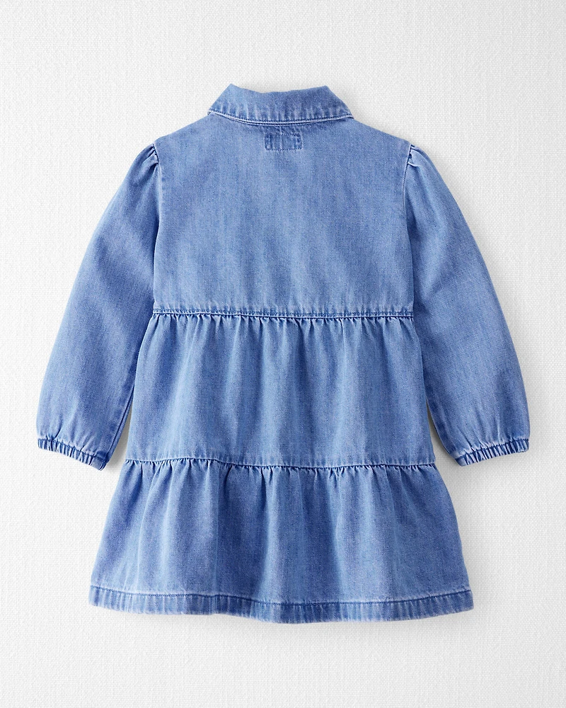 Toddler Girl Organic Cotton Chambray Dress