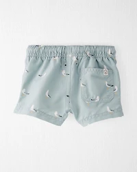 Baby Boy Recycled Seagull-Print Swim Trunks
