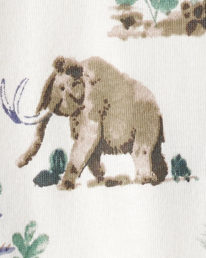 Kids Dinosaur Print Organic Cotton 2-Piece Pyjamas