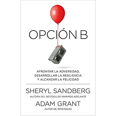 OPCION B