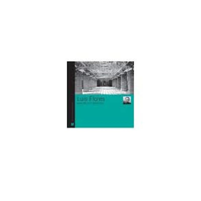 LUIS FLORES ARQUITECTO