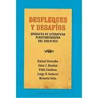 DESFLEQUES Y DASAFIOS ENSAYOS DE LITERAT