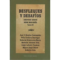 DESFLEQUES Y DESAFIOS ENSAYOS TOMO III