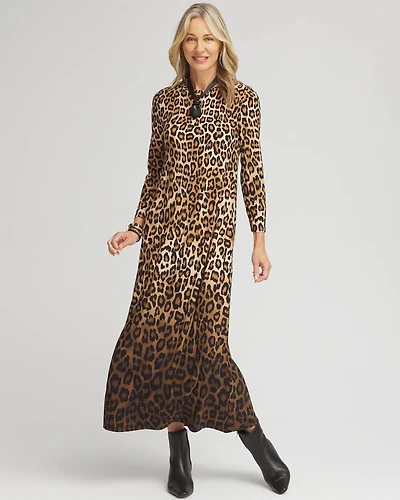 Leopard Print Long Sleeve Maxi Dress