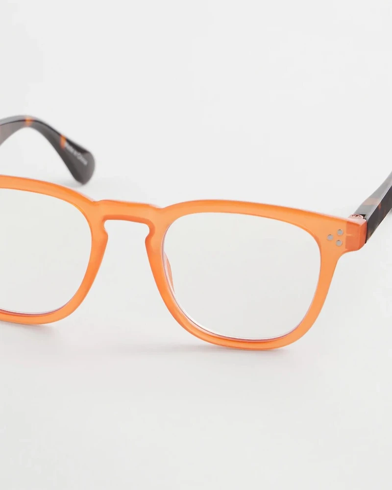 Orange Tortoise Round Readers