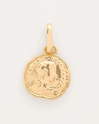 Coin Charm