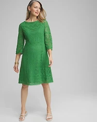 Lace Fit & Flare Dress
