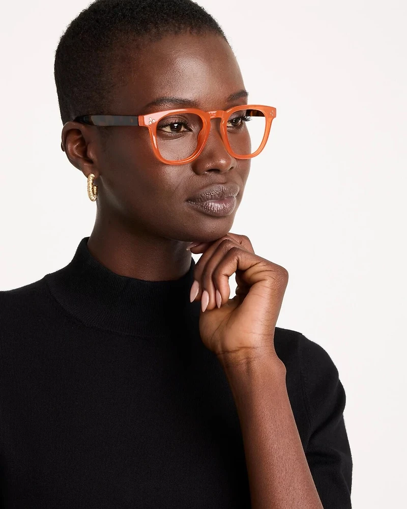 Orange Tortoise Round Readers
