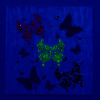 Glow in the Dark Butterfly Body Gems