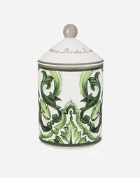 Porcelain Scented Candle - Sicilian Neroli and Lemon
