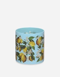 Scented Candle - Lemon