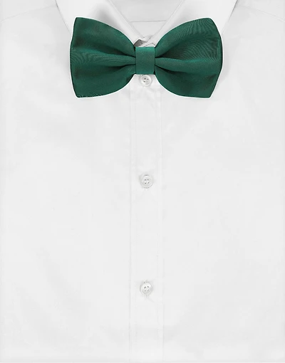 Silk satin bow tie