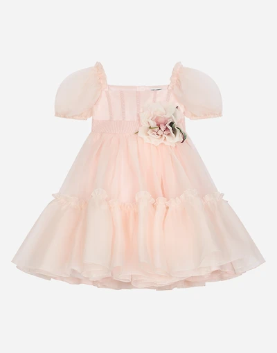 Silk organza dress