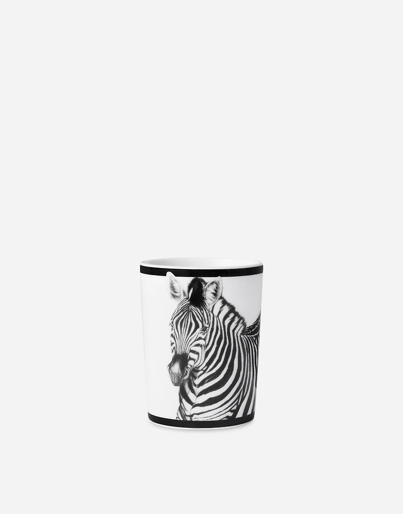 Porcelain Water Glass
