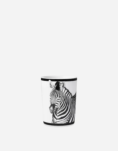 Porcelain Water Glass