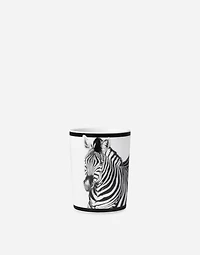 Porcelain Water Glass