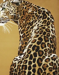 Canvas Cushion Large