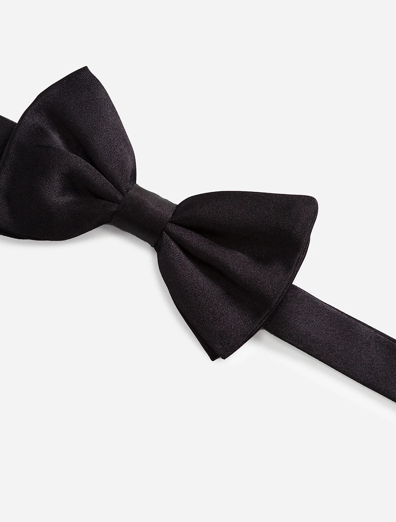 Silk bow tie