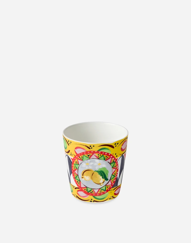 Fine Porcelain Glass
