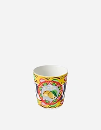 Fine Porcelain Glass