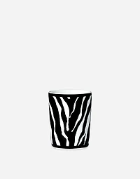 Gift Box With 2 Porcelain Glasses