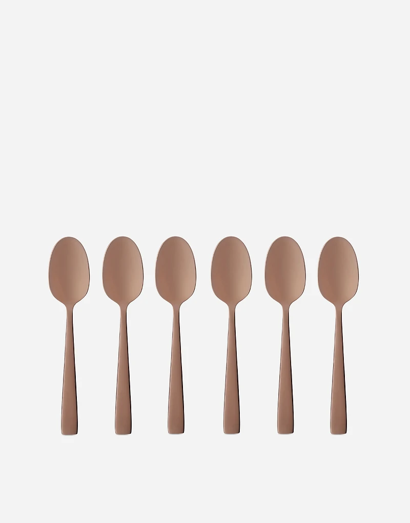 Set 6 INOX Coffee Spoons