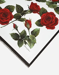 Modal and silk scarf with rose print