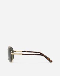 DNA sunglasses