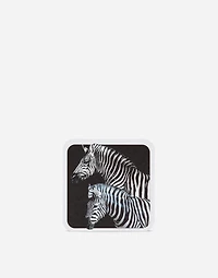 Set of 12 Coasters
