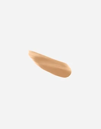 Everlast Concealer