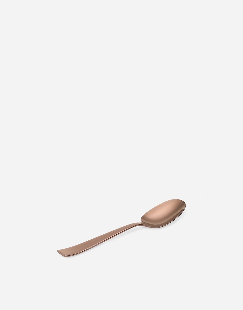 Set 6 INOX Coffee Spoons