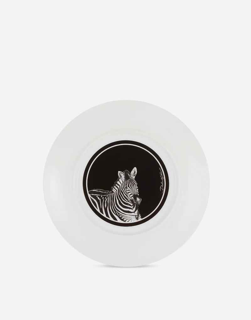 Set 2 Porcelain Dinner Plates