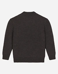 Wool round-neck sweater with flocked DG logo